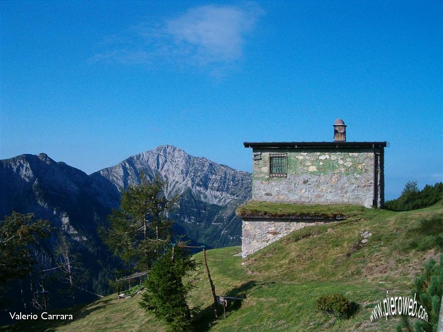 4° Roccolo al Monte Campo.jpg